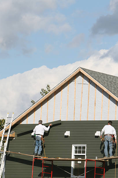 Best Brick Veneer Siding  in Center Hill, FL